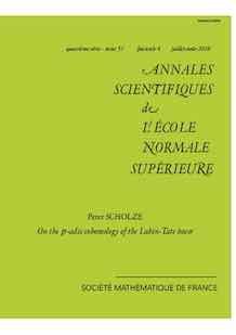 On the $p$-adic cohomology of the Lubin-Tate tower

