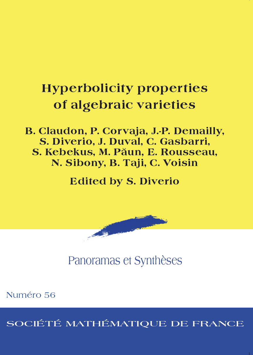 Hyperbolicity properties of algebraic varieties