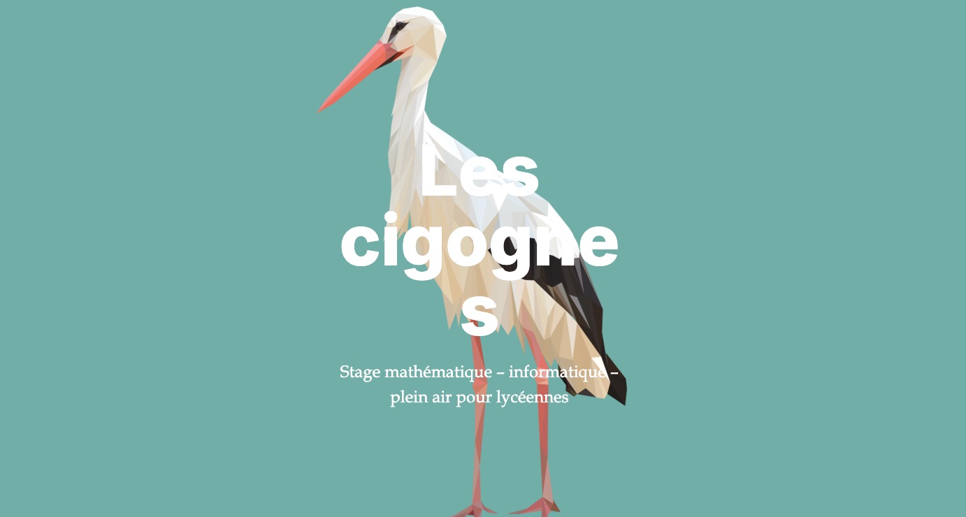 Les cigognes 2025 : retour sur un stage