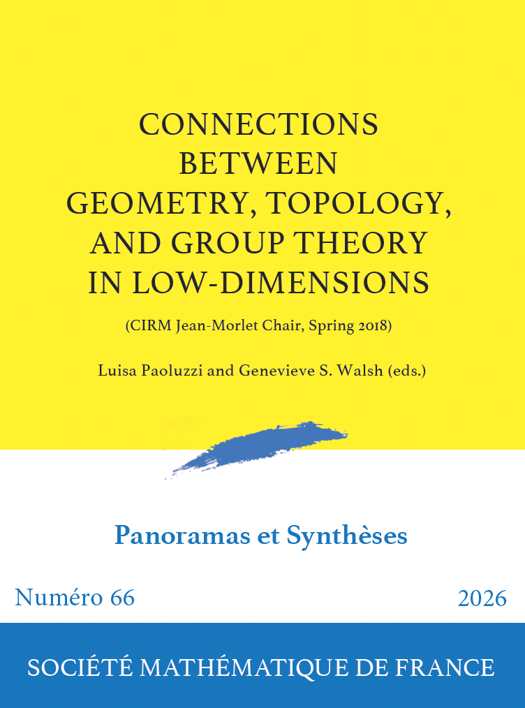 Connections between geometry, topology, and group theory in low-dimensions