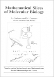 Mathematical Slices of Molecular Biology