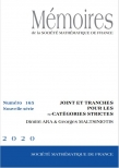 Joint et tranches pour les $\infty$-catégories strictes