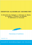 Derived algebraic geometry