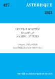 Liouville quantum gravity as a mating of trees