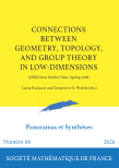 Connections between geometry, topology, and group theory in low-dimensions