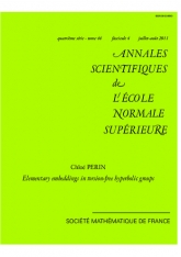 Plongements élémentaires dans des groupes hyperboliques sans torsion