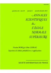 Injections de Sobolev probabilistes et applications