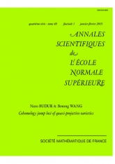 Lieux de saut pour la cohomologie de variétés quasi-projectives