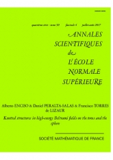 Structures nouées dans les champs de Beltrami à hautes énergies sur le tore et la sphère