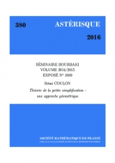 Exposé Bourbaki 1089 : Théorie de la petite simpliﬁcation : une approche géométrique