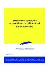Structures spéciales et problème de Zilber-Pink