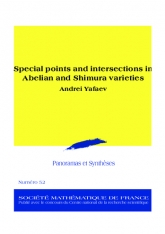 Points spéciaux et intersections dans les variétés abéliennes et les variétés de Shimura