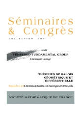 Groupe fondamental tempéré