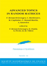 Thèmes avancés en matrices aléatoires
