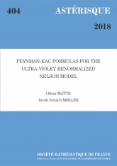 Formules de Feynmann-Kac pour le modèle de Nelson ultra-violet renormalisée