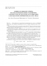 Sommes de Birkhoff itérées sur des extensions finies d'odomètres. Construction de solutions auto-similaires à des équations différentielles avec délai