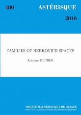 Familles d'espaces de Berkovich