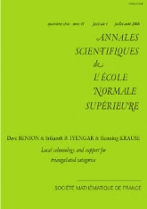 Cohomologie locale et support pour les catégories triangulées