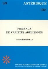 Pinceaux de variétés abéliennes