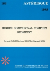 Higher dimensional complex geometry
