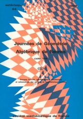 Journées de Géométrie algébrique de Rennes (juillet 1978), II