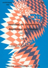 Journées de Géométrie algébrique de Rennes (juillet 1978), III