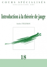 Introduction à la théorie de jauge