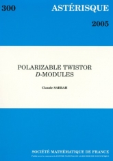 $\mathcal D$-modules avec structure de twisteur polarisable