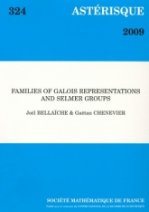 Familles de représentations galoisiennes et groupes de Selmer