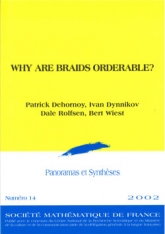 Pourquoi les tresses sont-elles ordonnables ?