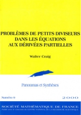 Problèmes de petits diviseurs dans les équations aux dérivées partielles