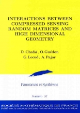 Interactions Between Compressed Sensing Random Matrices and High Dimensional Geometry