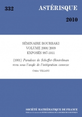 Exposé Bourbaki 1001 : Paradoxe de Scheffer-Shnirelman revu sous l'angle de l'intégration convexe d'après C. De Lellis et L. Székelyhidi