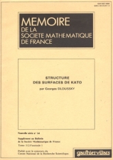 Structure des surfaces de Kato