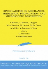 Singularités en Mécanique : formation, propagation et description microscopique)