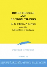 Dimer Models and Random Tilings