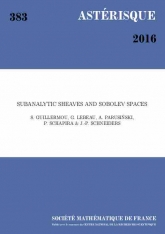 Faisceaux sous-analytiques et espaces de Sobolev