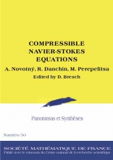 Autour du système de Navier-Stokes compressible