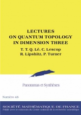 Topologie quantique en dimension trois