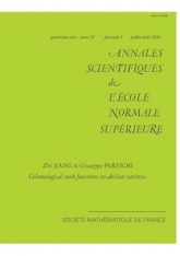 Fonctions rang cohomologiques sur les variétés abéliennes