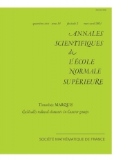 Éléments cycliquement réduits dans les groupes de Coxeter