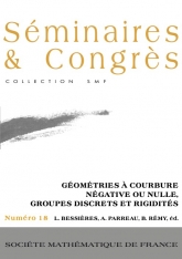 Géométries à courbure négative ou nulle, groupes discrets et rigidités