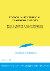 Questions de théorie de l'apprentissage statistique
