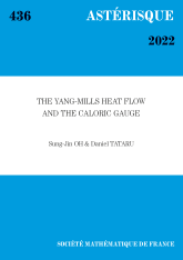 L’équation de la chaleur de Yang-Mills et la jauge calorique