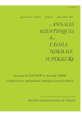 Cônes catégoriques et dualité projective homologique quadratique