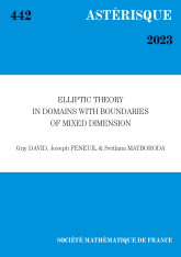 Théorie elliptique dans des domaines à frontières de dimension mixte