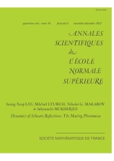 Dynamique des réflexions de Schwarz: un phénomène d'accouplement