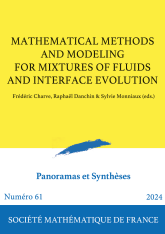 Méthodes mathématiques et modélisation pour les mélanges de fluides et les interfaces