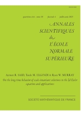Sur le comportement en temps longs des solutions invariantes par scaling des équations d'Euler 2d et leurs applications